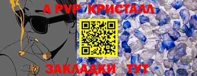 спиды Кингисепп