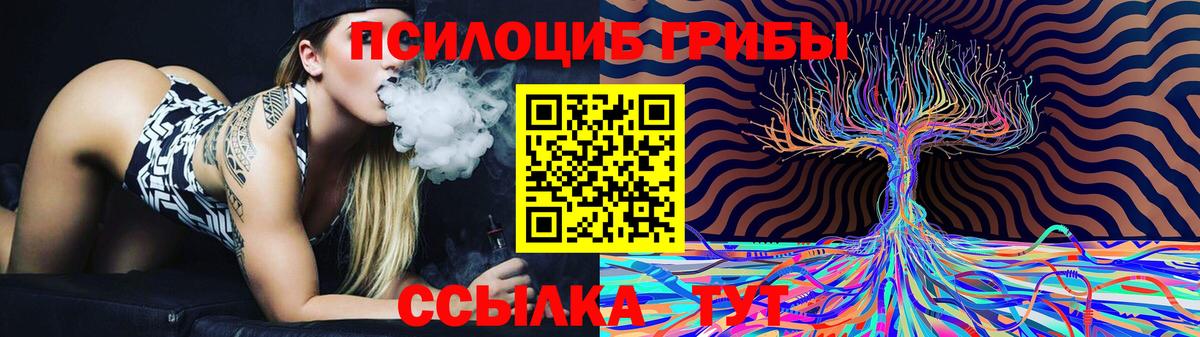 Псилоцибиновые грибы прущие грибы  Вход с VPN  Лесозаводск 